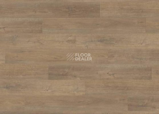 Ламинат Haro Tritty 90 ДУБ ЛИВОРНО ДЫМЧАТЫЙ 538650 фото 1 | FLOORDEALER